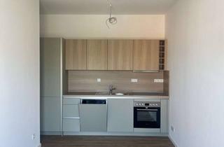 Wohnung mieten in Hausener Straße, 63165 Mühlheim, Frisch saniert, KfW 70 mit Wärmepumpe und Fußbodenheizung – 1-Zimmer-Wohnung mit Balkon, Erstbezug