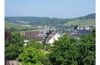 Haus kaufen in 54453 Nittel, Haus mit Weinbergblick - wenig Minuten nach Luxemburg
