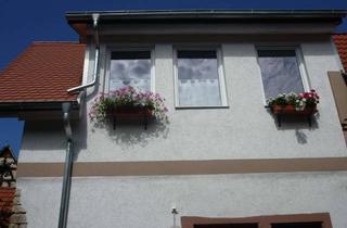 Wohnung mieten in Leininger Ring 103, 67278 Bockenheim, 1-Zimmer-Wohnung im Dachgeschoss in Bockenheim