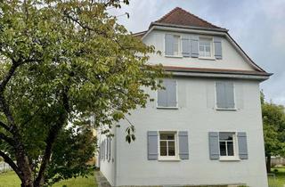 Wohnung mieten in 88361 Altshausen, Großzügige, renovierte 3-Zimmer-Erdgeschosswohnung mit Terrasse, Garten, Einbauküche und Garage