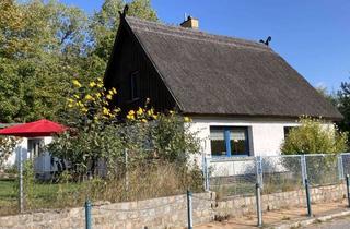 Haus kaufen in 17419 Kamminke, Schönes Reetdachhaus am Waldrand