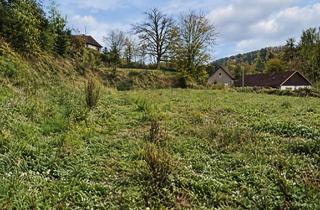 Grundstück zu kaufen in 57581 Katzwinkel, ***Exklusives Wohndomizil mit Panoramablick******Platz für Ihre Träume***