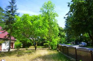 Grundstück zu kaufen in 16552 Schildow, Baugrundstück ca. 1.354 m² und ca. 174 m² überbaubare Grundfläche in absoluter Ruhe am Wald gelegen
