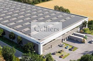 Gewerbeimmobilie mieten in 49477 Ibbenbüren, Logistikneubau an der A30 | ab sofort | WGK 1-3