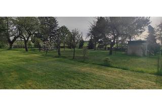 Grundstück zu kaufen in 04668 Grimma, WE-Grundstück-Kein Bauland von privat ! Voll erschlossen mit Bungalow, Garage und div. Nebengelass