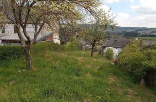 Grundstück zu kaufen in 54317 Gusterath, Tiny House | Modulhaus | Haus | Baugrundstück | Grundstück | Gusterath | voll erschlossen | 329 m²