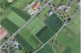 Grundstück zu kaufen in 65620 Waldbrunn, Bauplatz Nr. 19 im Wohngebiet Hinter dem Dorf