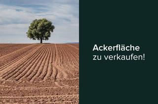Gewerbeimmobilie kaufen in 32339 Espelkamp, Sofort verfügbare Ackerfläche - Pachtfrei - in Isenstedt