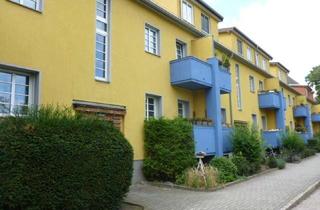Wohnung kaufen in 12105 Tempelhof, Bestpreis . Starke Altersvorsorge im grünen Herzen von Tempelhof .