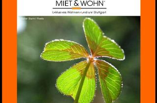 Wohnung mieten in 70327 Wangen, ***Sofort bezugsbereit***Modernes Zuhause für SINGLE oder PAAR***EBK, Garten, TG, Aufzug***