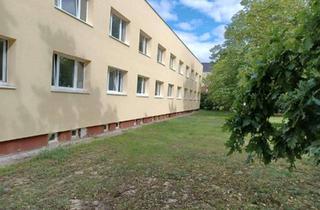 Wohnung mieten in Ahornstraße, 14550 Groß Kreutz, Alltagstaugliche 3 Zimmer in Groß Kreutz