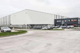 Gewerbeimmobilie mieten in 59069 Rhynern, 45.000 m²+ 10.000 m² Erweiterung / Cross-Dock