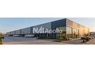 Gewerbeimmobilie mieten in 65428 Rüsselsheim, XL-Logistikfläche – 20.000 m² für höchste Ansprüche