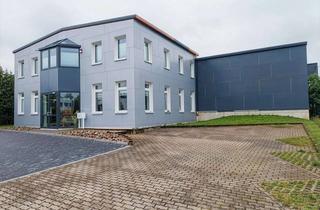 Gewerbeimmobilie kaufen in 08141 Reinsdorf, Gewerbeobjekt mit Büro- und Lagerflächen in Reinsdorf bei Zwickau