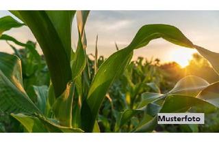 Immobilie kaufen in 35614 Aßlar, Landwirtschaftsflächen