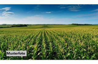 Immobilie kaufen in 37269 Eschwege, Landwirtschaftsflächen/Grünland