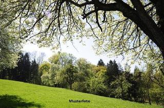 Immobilie kaufen in 37235 Hessisch Lichtenau, Land- und Forstwirtschaftsflächen