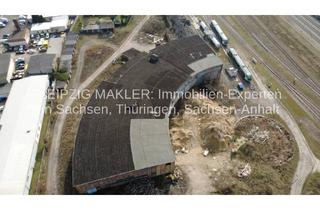 Büro zu mieten in Nulandtstraße, 06217 Merseburg, Multifunktionshalle mit 13 Rolltoren, großer Deckenhöhe und flexibel anmietbaren Hallenflächen
