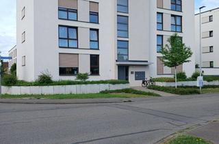 Wohnung mieten in Breitenfeldstraße 45, 79341 Kenzingen, großzügige 2-Zimmer Wohnung in Kenzingen