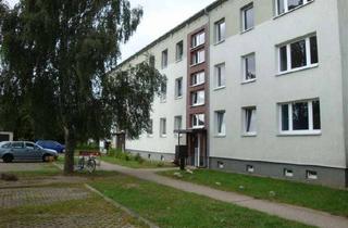 Wohnung mieten in Querstraße 10, 17509 Hanshagen, 3-Raum Wohnung in ländlicher Gegend