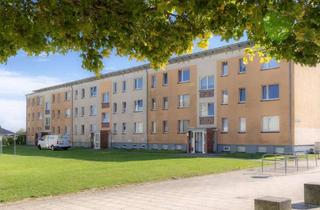 Wohnung mieten in Herderstr. 10, 18311 Ribnitz-Damgarten, Erstbezug nach Sanierung