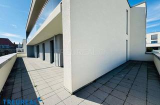 Wohnung mieten in Sophie-Charlotten-Straße 117C, 14059 Charlottenburg, Nachmieter gesucht: 4-Zimmer-Terrassenwohnung, 152 m², ca. 115 m² Terrasse am Schlosspark