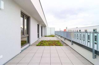 Penthouse mieten in Mathilde-Maier-Str. 11, 60326 Gallus, Penthouse mit Dachterrasse im Frankfurter Gallus