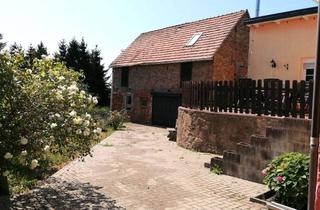 Einfamilienhaus kaufen in 06343 Mansfeld, Gemütliches Einfamilienhaus, Kamin, Garten, Scheune im ruhigen Ortsteil Gorenzen