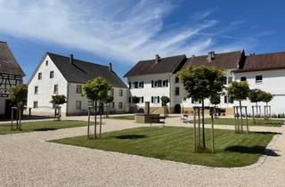 Wohnung mieten in Ehrenbergstraße 25, 74906 Bad Rappenau, Wohnen im Denkmal: 3-Zi-Wohnung mit 76m² in Bad Rappenau