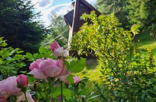 Haus kaufen in 99330 Gräfenroda, Individuelle Finnhütte mit großem Grundstück am Thüringer Wald