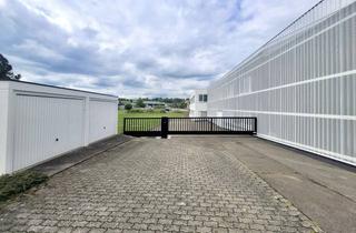 Gewerbeimmobilie kaufen in 72474 Winterlingen, Gewerbe und Produktionshalle Winterlingen zu verkaufen