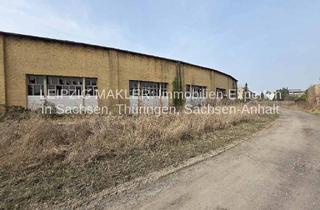 Büro zu mieten in Nulandtstraße, 06217 Merseburg, Gewerbe- und Lagerhalle mit ca. 472 m², 2 Rolltoren und 5,54 m Durchfahrtshöhe sowie 3 Büroräumen