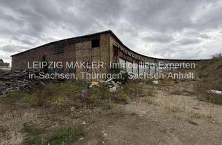 Büro zu mieten in Nulandtstraße, 06217 Merseburg, Gewerbe- und Lagerhalle mit ca. 708 m², 3 Rolltoren und 5,54 m Durchfahrtshöhe sowie 3 Büroräumen