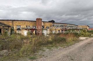 Büro zu mieten in Nulandtstraße, 06217 Merseburg, Gewerbe- und Lagerhalle mit ca. 2.381 m², 11 Rolltoren und 5,54 m Durchfahrtshöhe sowie 3 Büroräumen