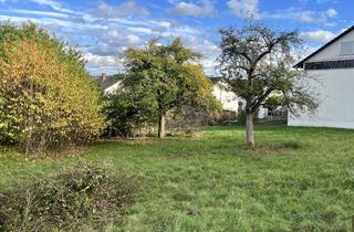 Immobilie kaufen in 97941 Tauberbischofsheim, Attraktiver Bauplatz in ruhiger Wohnlage – Grundstück direkt in Tauberbischofsheim