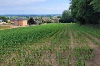 Immobilie kaufen in 89438 Holzheim, Großzügig bebaubares Grundstück mit Panoramablick