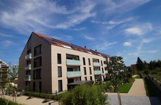 Wohnung kaufen in 92360 Mühlhausen, Nachhaltig investieren: Moderne 2-Zimmer-Neubauwohnung in zentraler Lage von Mühlhausen
