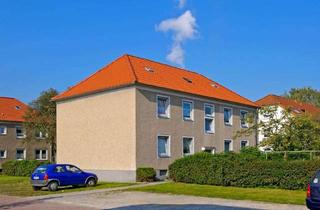Wohnung mieten in Nieheimer Straße, 59077 Herringen, EG Wohnung mit 3 Zimmern in Hamm Herringen