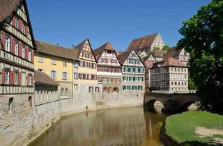Wohnung mieten in Steinerner Steg, 74523 Schwäbisch Hall, Charmante Altbauwohnung in bester Lage, liebevoll renoviert