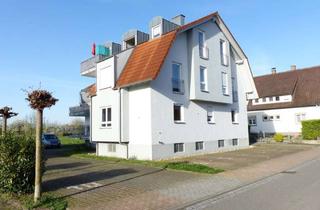 Wohnung mieten in Südend 18, 77966 Kappel-Grafenhausen, Bezugsfreie, moderne 3-Zimmer-Wohnung im Erdgeschoss mit Balkon und Einbauküche in Kappel