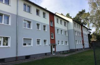 Wohnung mieten in Lahnweg, 33689 Sennestadt, Renovierte 3-Zimmer-Wohnung mit Balkon und Tageslichtbad