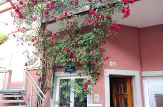 Wohnung mieten in Lindenstr. 23, 79379 Müllheim, 4-Zimmer-Wohnung mit zwei Balkonen, offenem Kamin und separatem Eingang in Müllheim-Niederweiler