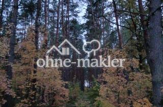 Gewerbeimmobilie kaufen in Bernauer Weg, 16348 Wandlitz, Attraktive Waldfläche mit gewachsenem Kiefernbestand – 3,4 ha in Wandlitz-Klosterfelde