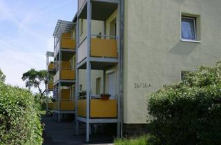 Wohnung mieten in Fabrikstraße 36, 02625 Bautzen, Gemütliches, kleines Zweiraumapartment mit großem sonnigen Balkon!