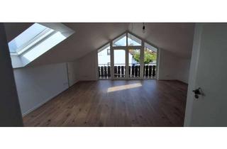 Wohnung mieten in 74906 Bad Rappenau, Frisch renovierte Studiowohnung mit Balkon in Babstadt