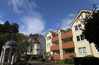 Wohnung mieten in 38667 Bad Harzburg, Schöne 2-Zimmer-Wohnung in Bad Harzburg, Papenstieg