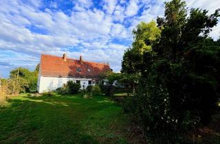Einfamilienhaus kaufen in 06425 Plötzkau, Einfamilienhaus mit großem Grundstück, Garten und viel Potenzial in Bründel