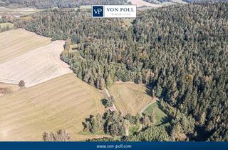 Immobilie kaufen in 93192 Wald, Gewachsener Waldbestand auf ca. 3,88 ha – attraktive Wald- und Wiesenfläche in der Gemeinde Wald