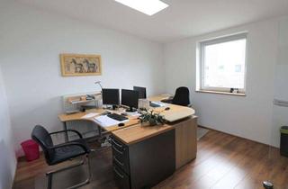Gewerbeimmobilie mieten in 21339 Lüneburg, Helles, freundliches Büro in netter Lüneburger Bürogemeinschaft
