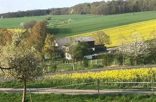 Gewerbeimmobilie kaufen in 55487 Dill, Ein authentisches Hofensemble inmitten der Landschaft